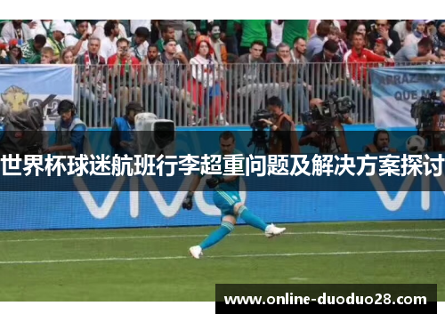 世界杯球迷航班行李超重问题及解决方案探讨