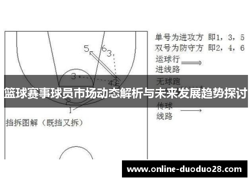 篮球赛事球员市场动态解析与未来发展趋势探讨