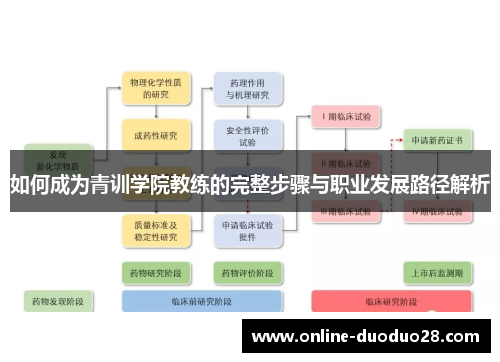 如何成为青训学院教练的完整步骤与职业发展路径解析